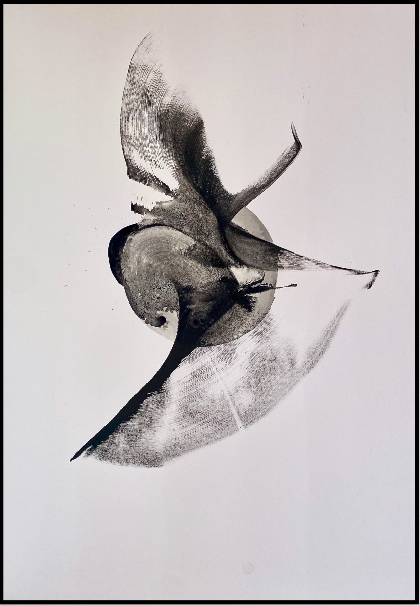 Hybride Rouge Valentin Morel III, de Thierry Moyne The Art Cycle
