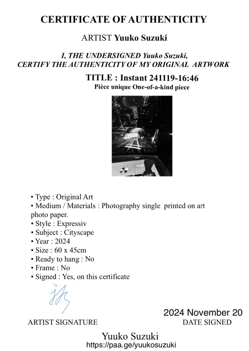 yuukosuzuki instant2411191646 theartcycle photo_secondaire 1485429828.jpeg The Art Cycle