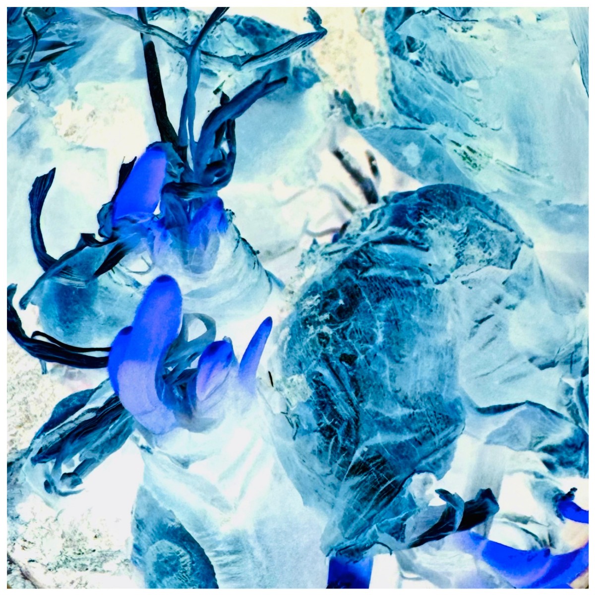 Instant 250127-11:01, de Yuuko Suzuki The Art Cycle